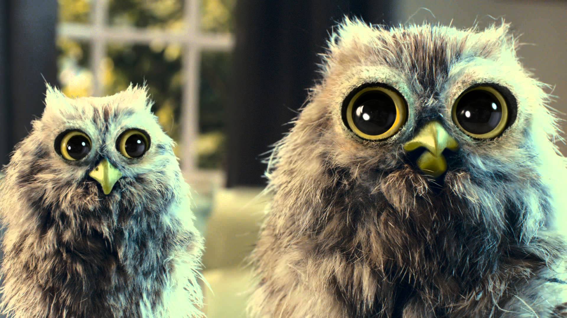 McVitie’s Owl TV Advert