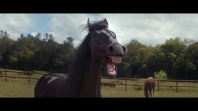 The Best Funny Commercials of 2016 – hilarious adverts