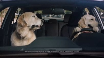 Subaru: Dog Tested. Dog Approved