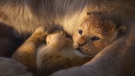 Image result for the lion king 2019 movie pics