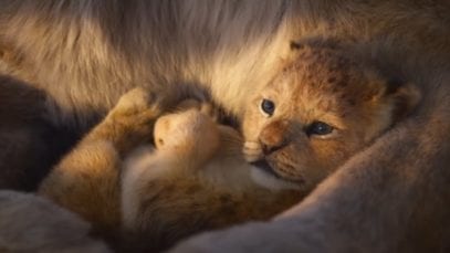 The Lion King (2019) movie trailer