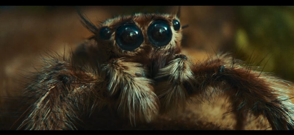 Samsung Love hurts - the spider advert