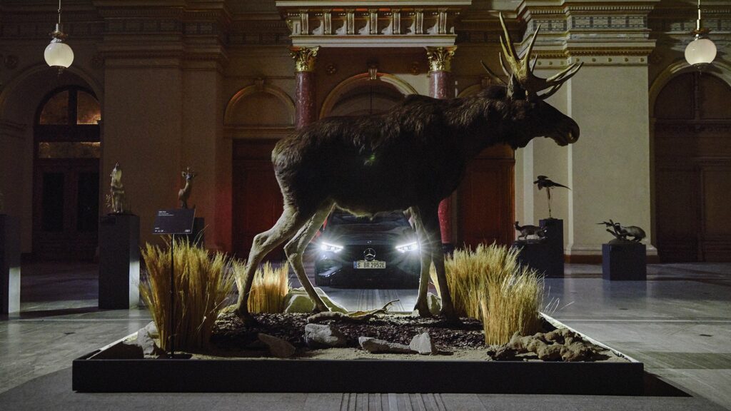 A night-time museum visit with Mercedes-Benz and a moose