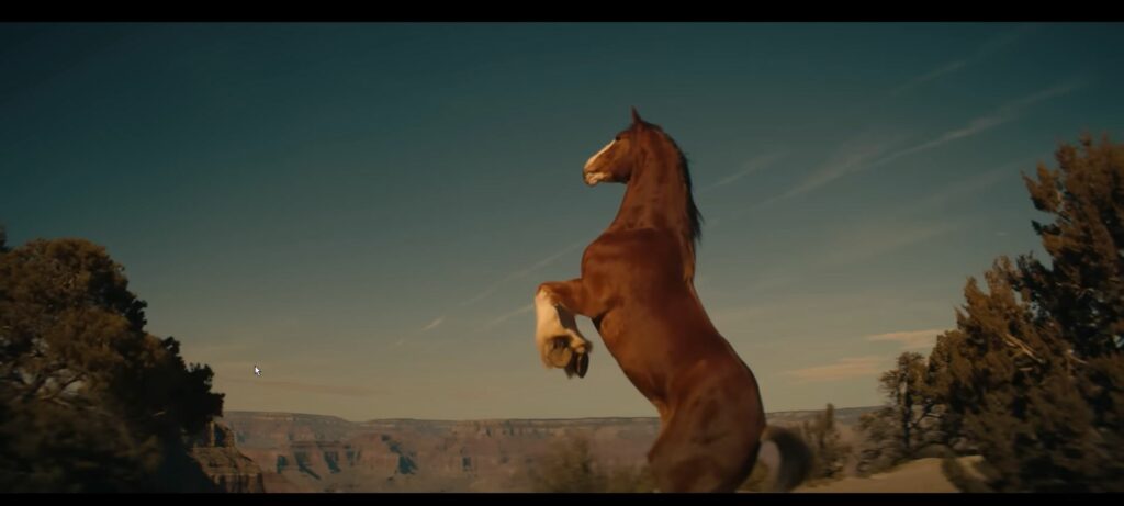 Budweiser ad Clydesdale