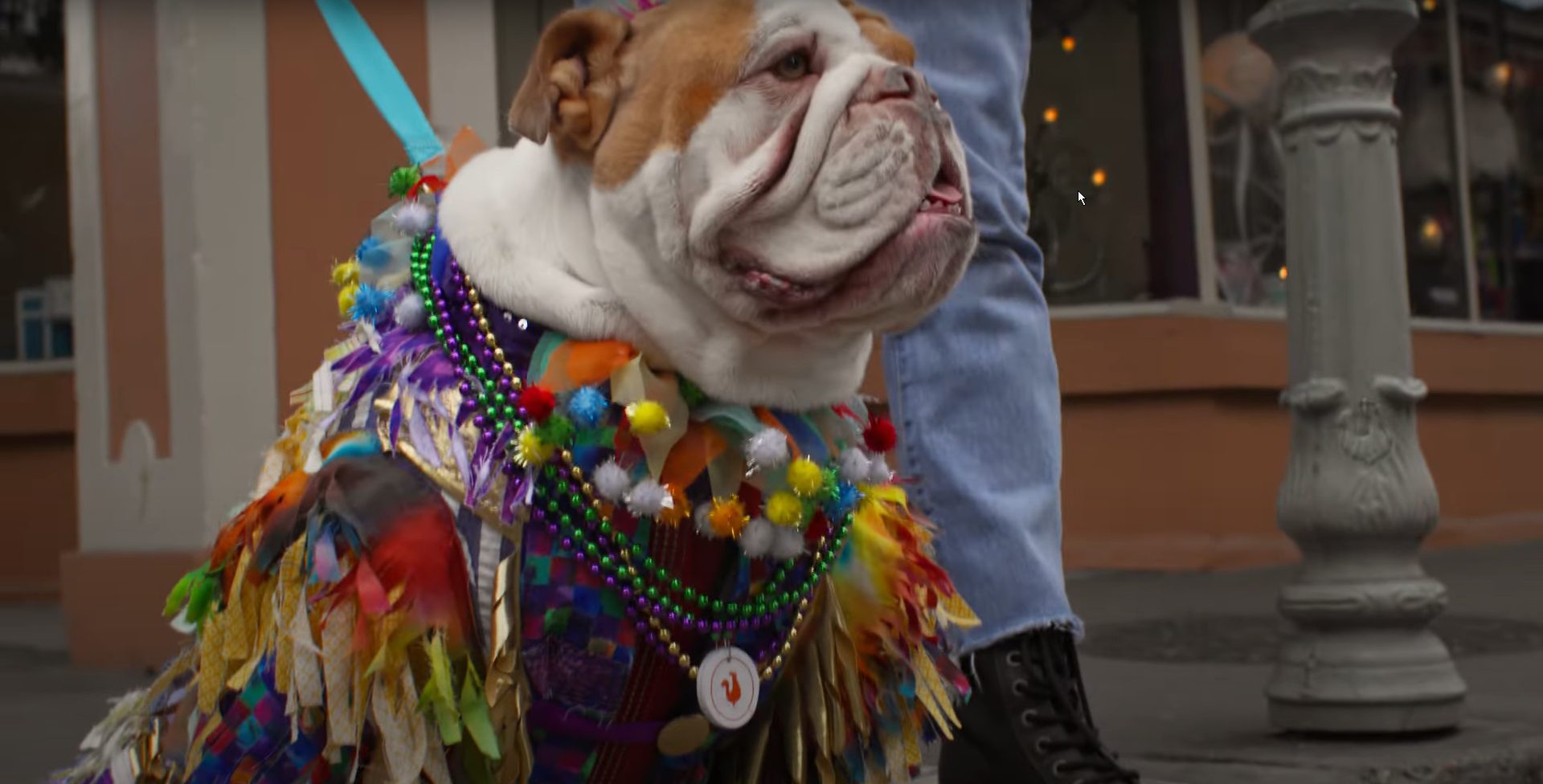 Popeyes ad 2023 funny dog