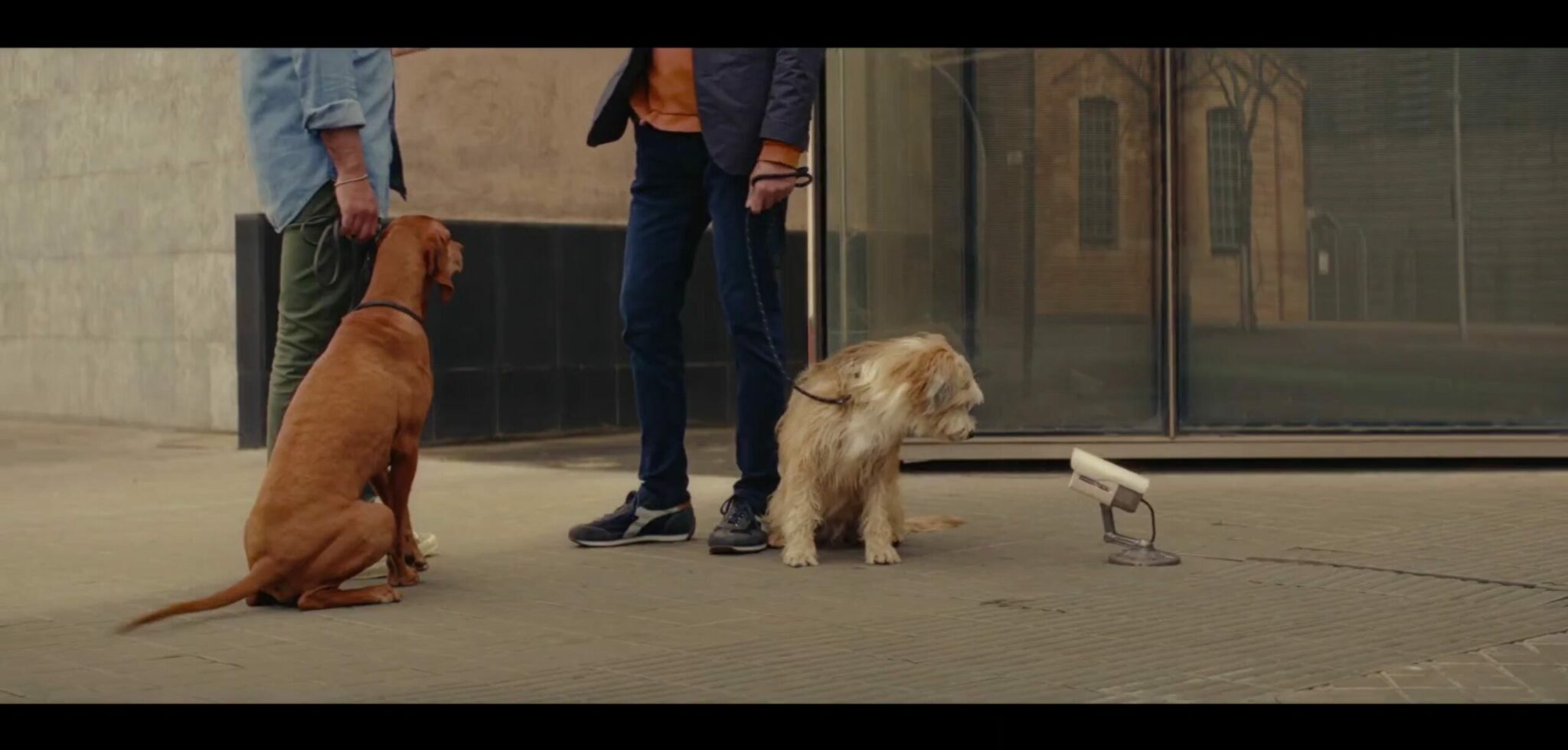 Peugeot ad 2023 - Surveillance Camera