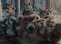 A group of animated forest animals, including a bear, raccoons, rabbits, and squirrels, pose together in a snowy, wooded environment inspired by the whimsical spirit of the Apple Holiday Ad 2025.